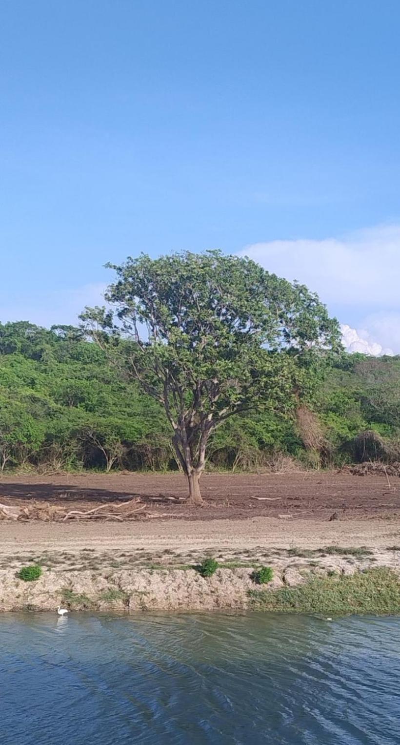 Amazing Cerca The Manzanillo Sector * Cartagena