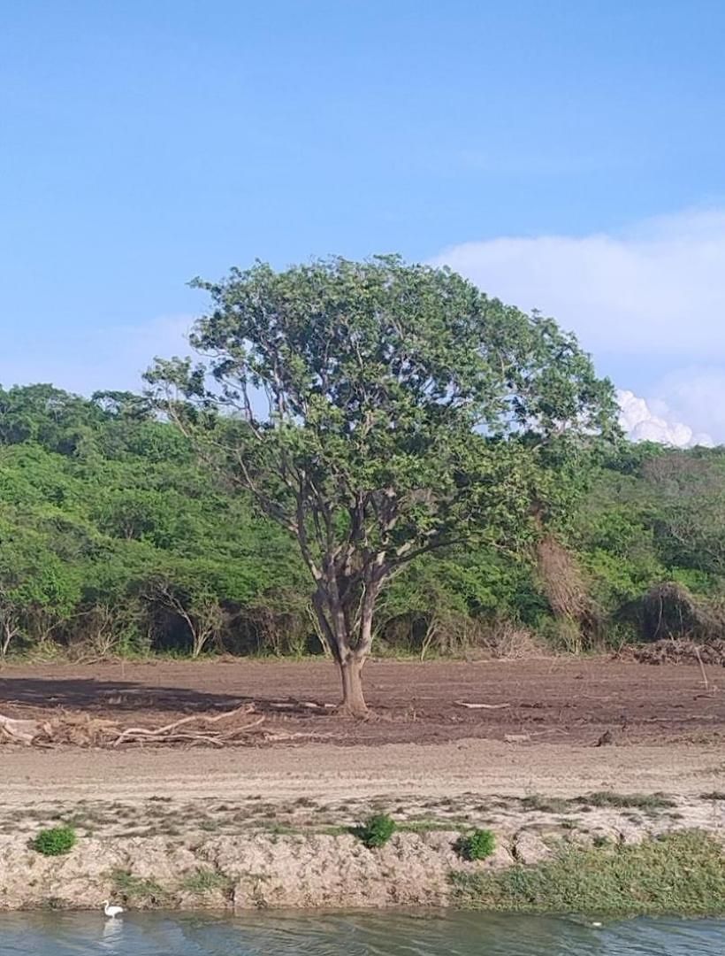 Amazing Cerca The Manzanillo Sector * Cartagena
