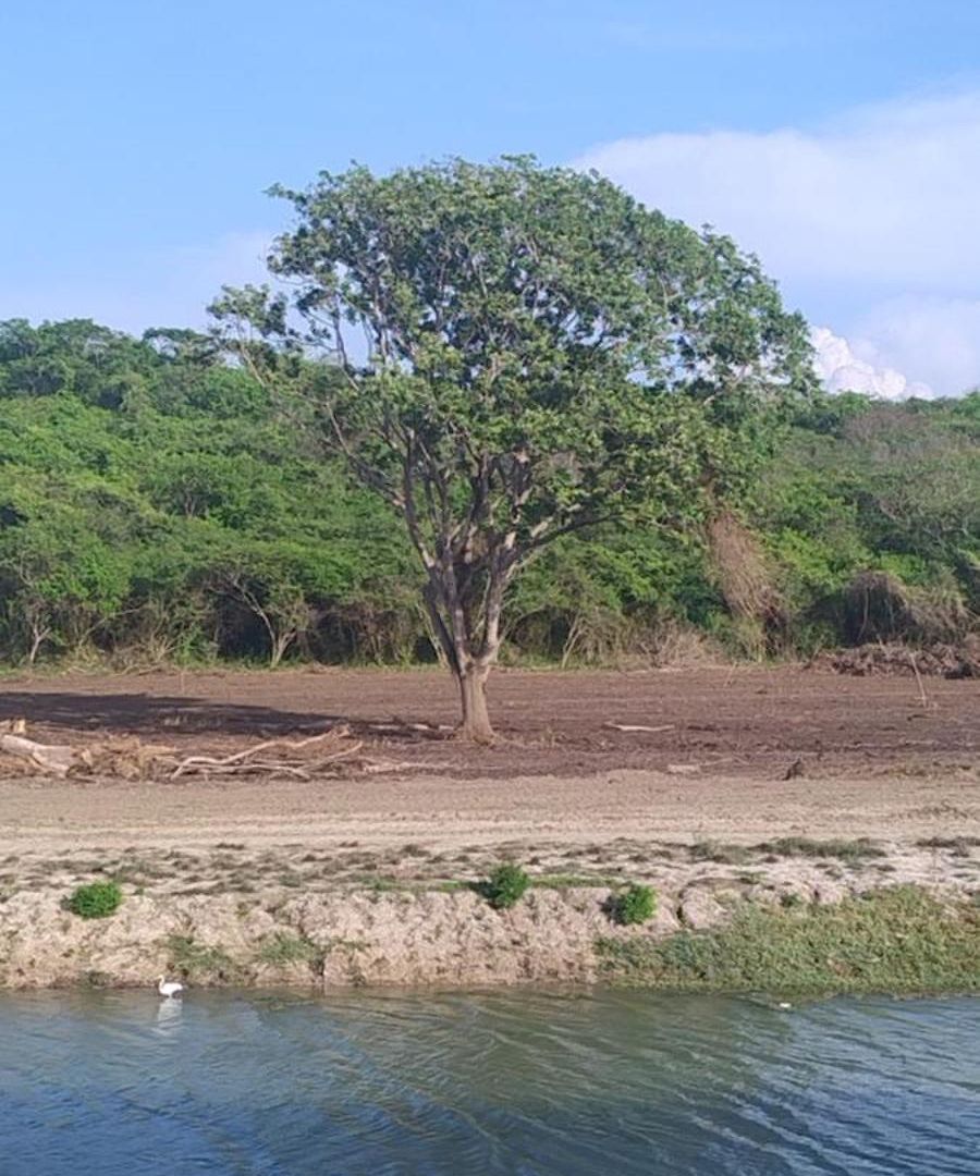 Amazing Cerca The Manzanillo Sector Apartment Cartagena