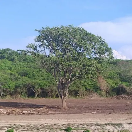 Amazing Cerca The Manzanillo Sector * Cartagena