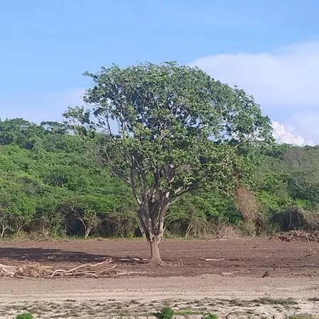 Amazing Cerca The Manzanillo Sector * Cartagena
